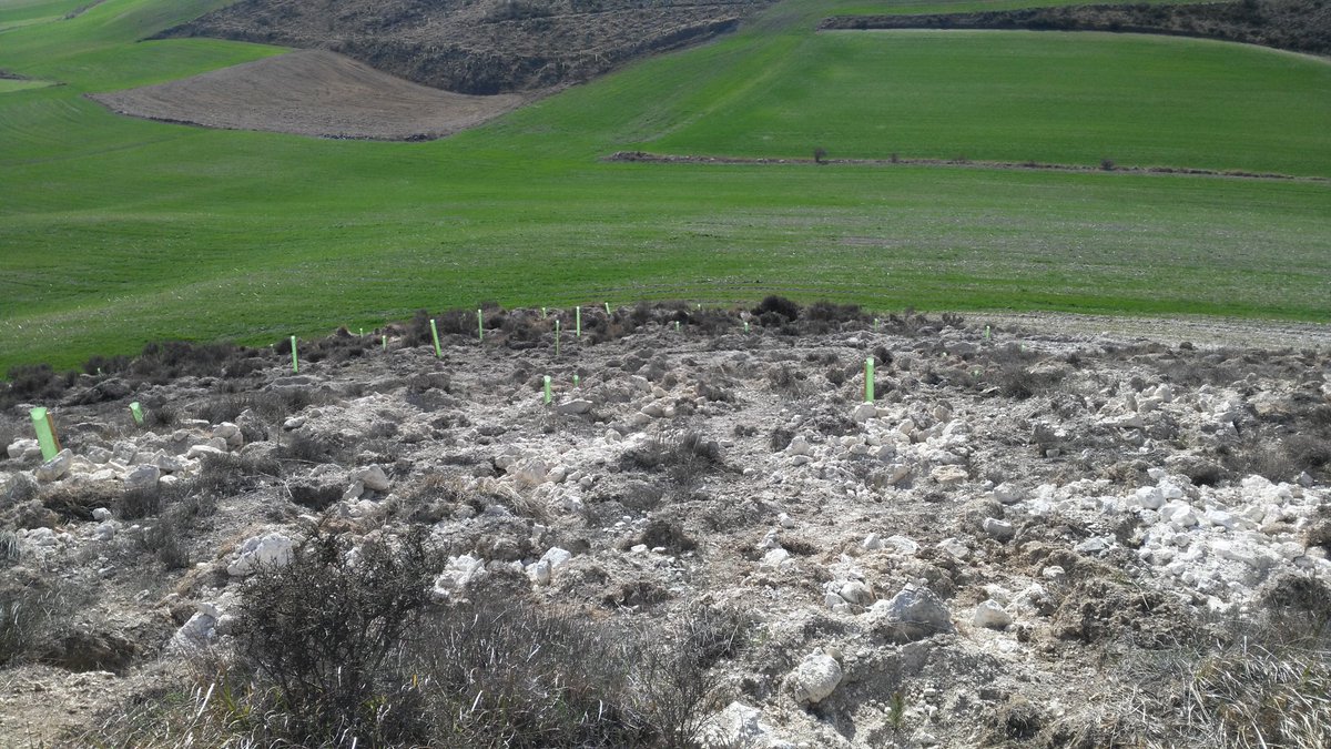 SantibanezZarza's tweet photo. Queremos desearos desde @SantibanezZarza un feliz #DiaMundialdelMedioAmbiente desde los pueblos seguimos preocupándonos por nuestro entorno https://t.co/5yAqzQqSvR