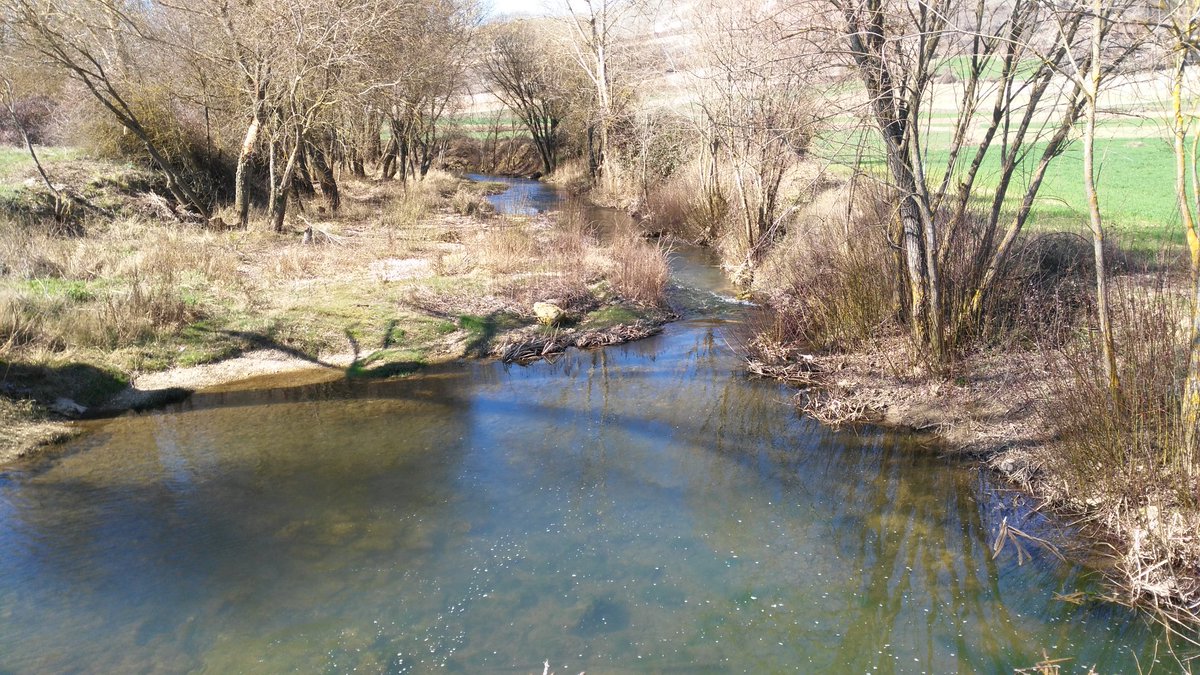 SantibanezZarza's tweet photo. Queremos desearos desde @SantibanezZarza un feliz #DiaMundialdelMedioAmbiente desde los pueblos seguimos preocupándonos por nuestro entorno https://t.co/5yAqzQqSvR