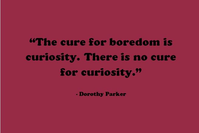 Explore your curiosities and see where it takes you! The great Dorothy Parker said it best:
