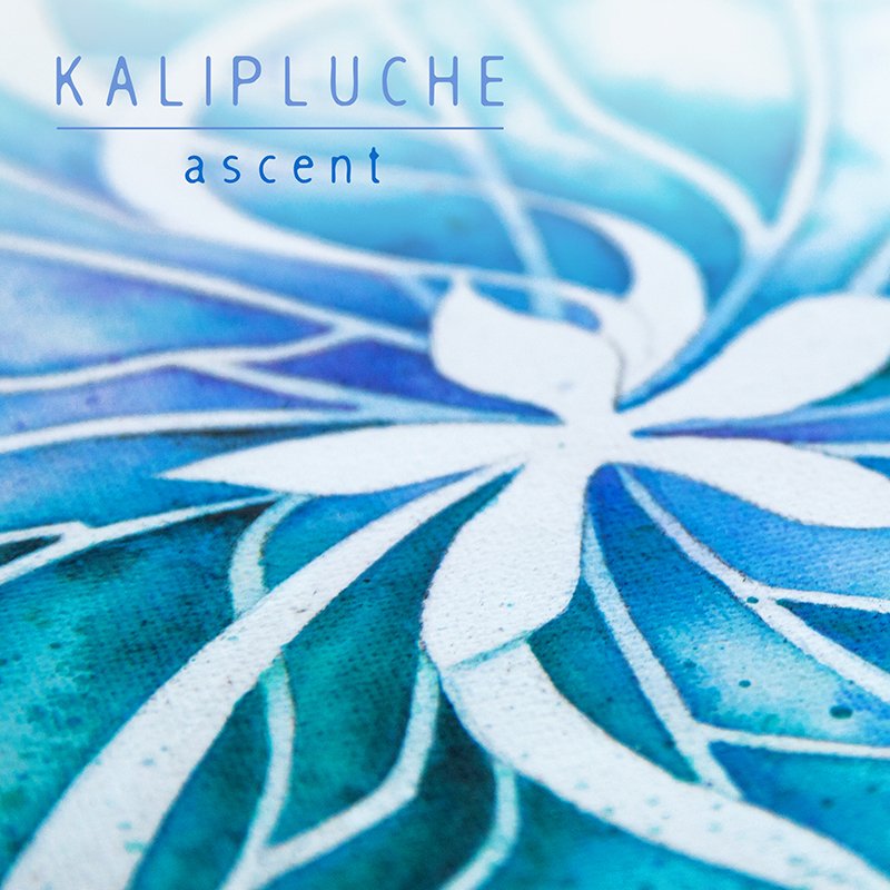 KarianneHylkema's tweet photo. Mijn Kalipluche-discografie is weer een nummer rijker :) #instrumentaal #ambient #dreamy https://t.co/cjb7kFRVDI https://t.co/osPBBbemiG