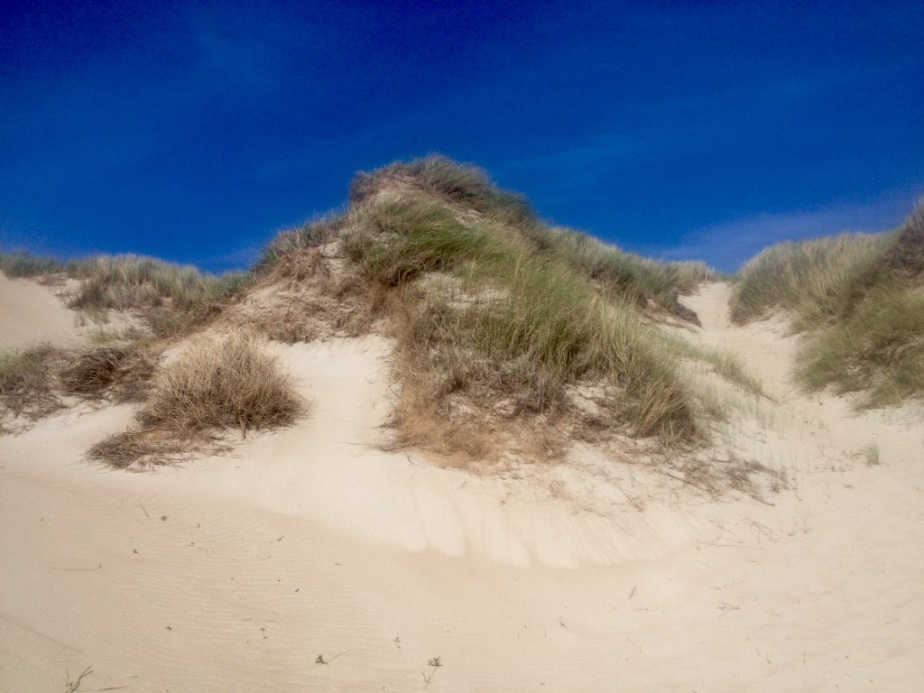 Lvzhish's tweet photo. Het was weer lekker op de Hors vanmiddag @NPTexel @ophetstrand_nl @DZK_Texel #Texel https://t.co/O2sUIMzPOK