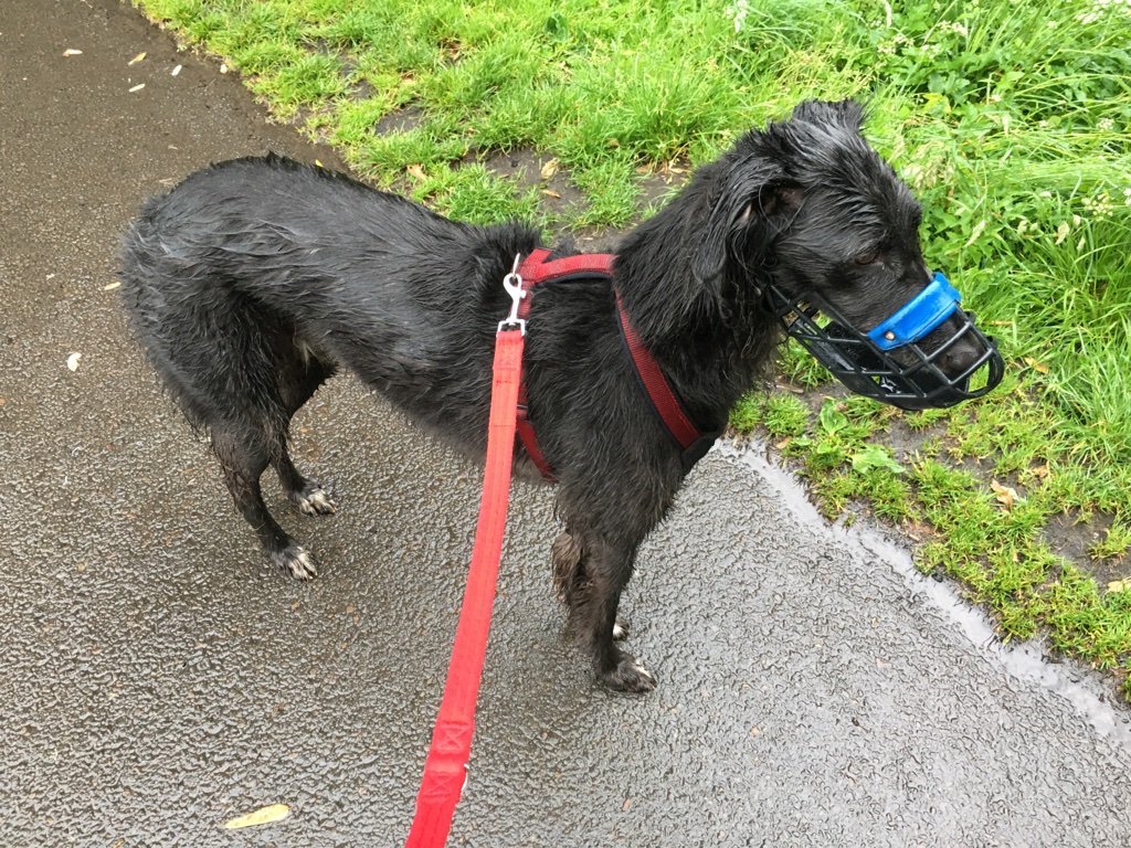 Ed Pearson tweet media