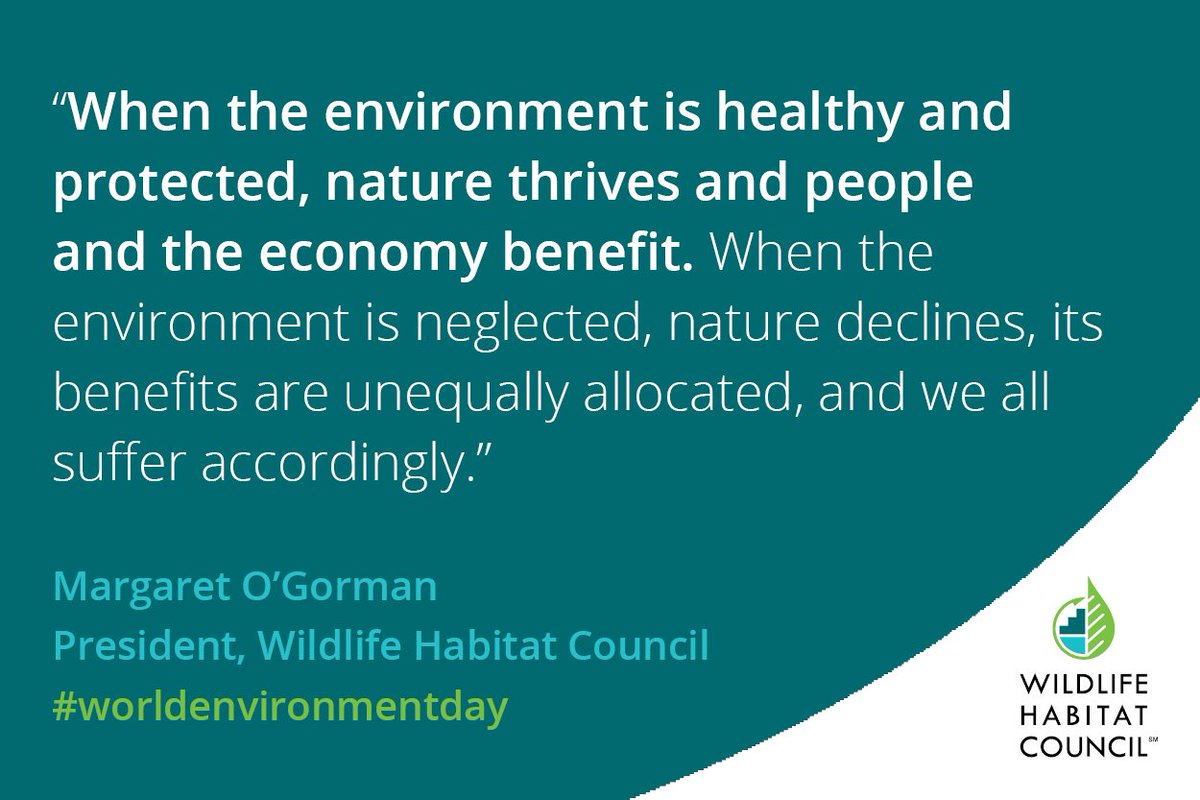 TandemGlobalOrg's tweet photo. Wise words from @OGormanWHC about the value of a healthy environment for this year's #WorldEnvironmentDay #WorldEnvironmentDay2017 https://t.co/UDV199q9HV