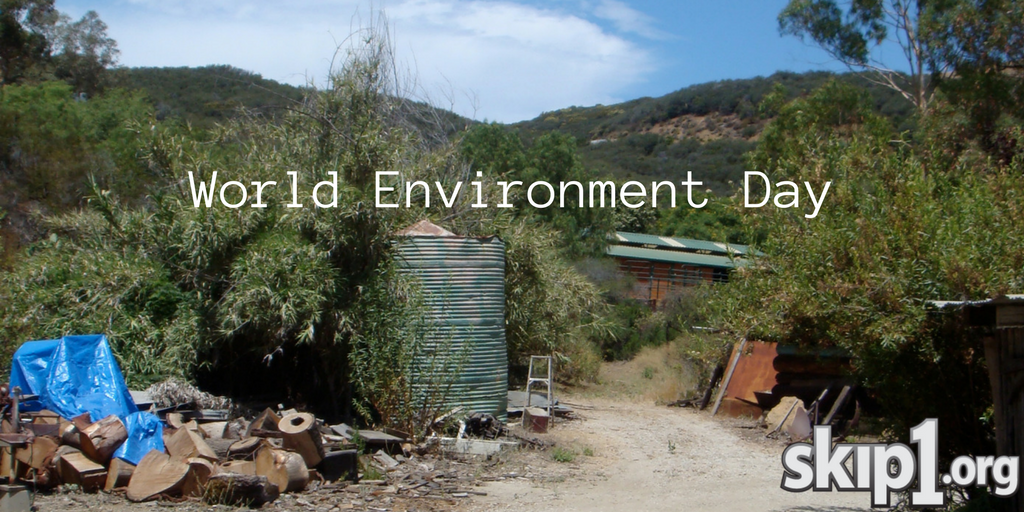 skip1's tweet photo. We can help make their environment better and stronger!🌳🌿💪 #WorldEnvironmentDay #environment #GivingBack #helping #skip1 https://t.co/eNzYagi597