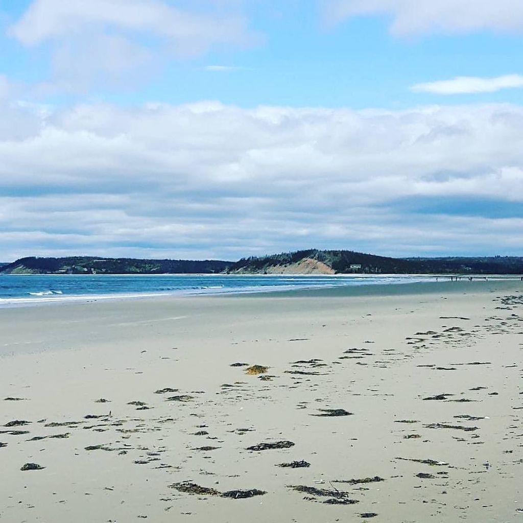 halifaxnoise's tweet photo. From @jessbeta23 — #clamharbourbeach
.
.
#wanttostayallday
#sandformiles
#sooopretty
#qualitytimes
#greatday https://t.co/hT1L1a2jo0 https://t.co/uDX11TljsX