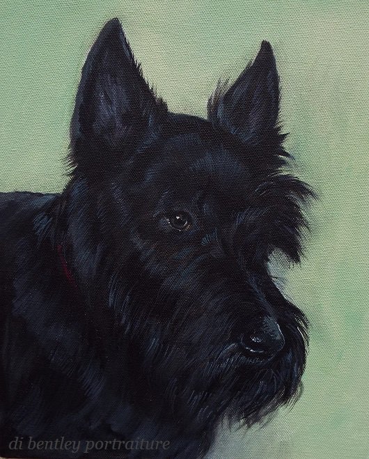 di_lew's tweet photo. 'Duffy' my latest little dabble in oils on canvas - have a massive soft spot for Scottish Terriers, growing up with them.. #dogs #art https://t.co/HvpOcxOFFK