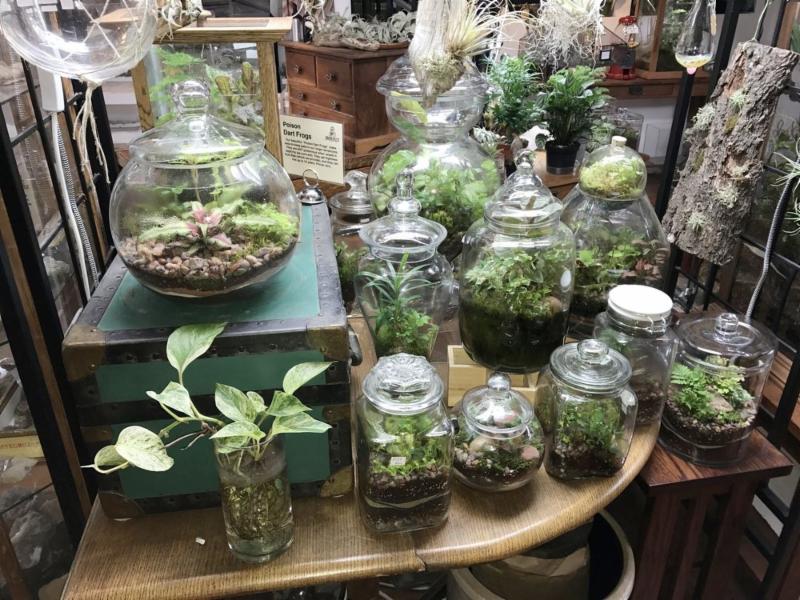 Pssst! Your Dad wants to do something together with you for Fathers Day. conta.cc/2rJgxxK