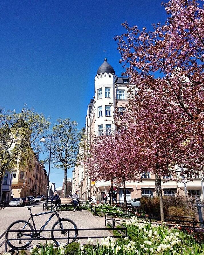 rchetMarch's tweet image. Helsinki is really dressing up these days, and we're starting🌸🌸🌸
📸: @bisousasha #myhelsinki #helsinki #visithelsinki #prettyinpink