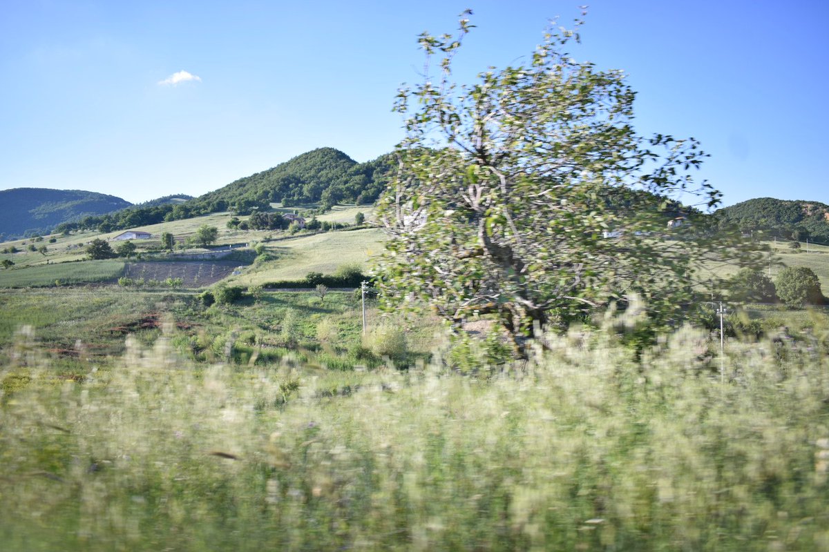 Lubene9's tweet photo. "Voglio restare qui tra questi monti bianchi d'inverno coperti di ginestre a primavera[...] " ~E.Gallicchio~
@Basilicata_Tur @Italia https://t.co/oVmp9vRyBp