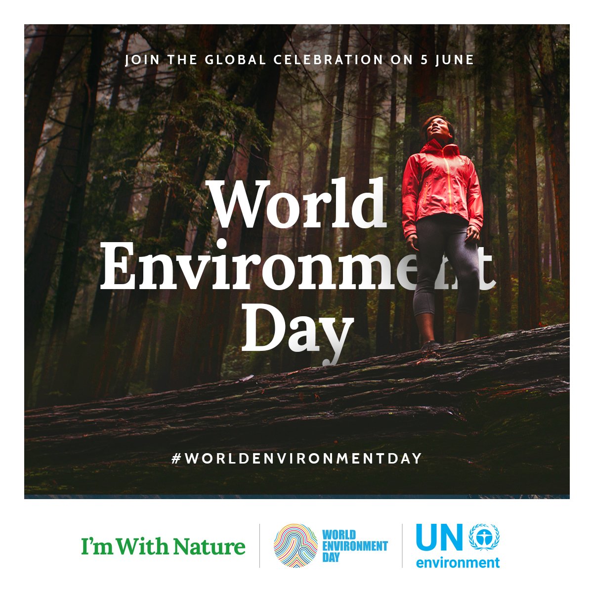 Today is World Environment Day!
worldenvironmentday.global
#WorldEnvironmentDay #WithNature
It is also #MeatlessMonday. They are connected.