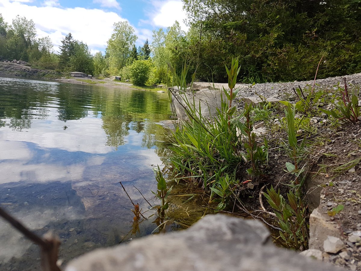 This looks worth protecting! #WorldEnvironmentDay  let's create a baseline <a href="/water_rangers/">Water Rangers</a> <a href="/cathmckenna/">Catherine McKenna</a>