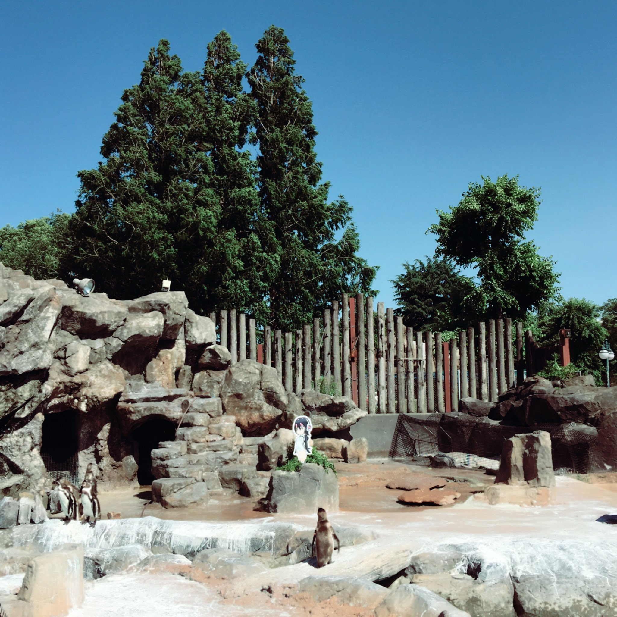 鈴木大輔 Diesuke Suzuki Twitter