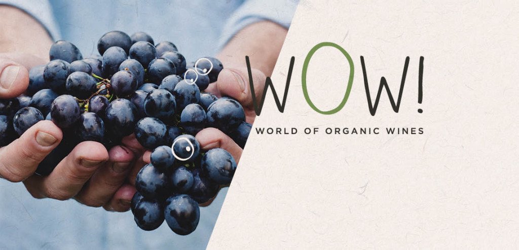 Vous Allez En Avoir Plein La " WOW " à Vinexpo france3-regions.blog.francetvinfo.fr/cote-chateaux/… #vinbio #vinsbio