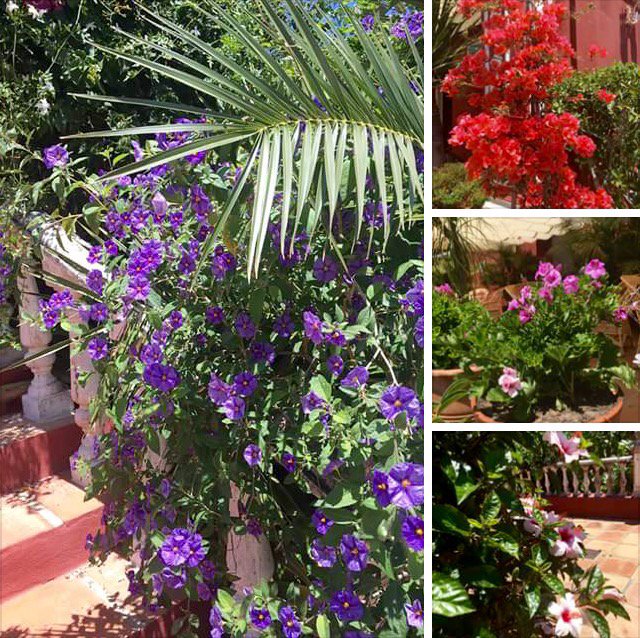 Hotelentarifa's tweet photo. #ConlaNaturaleza @CadizTurismo @TurismoAndaluz @VisitCadiz @turismo_tarifa @tarifaayto @laduna_tarifa @TurismoSpain https://t.co/a4LVeGKRGb