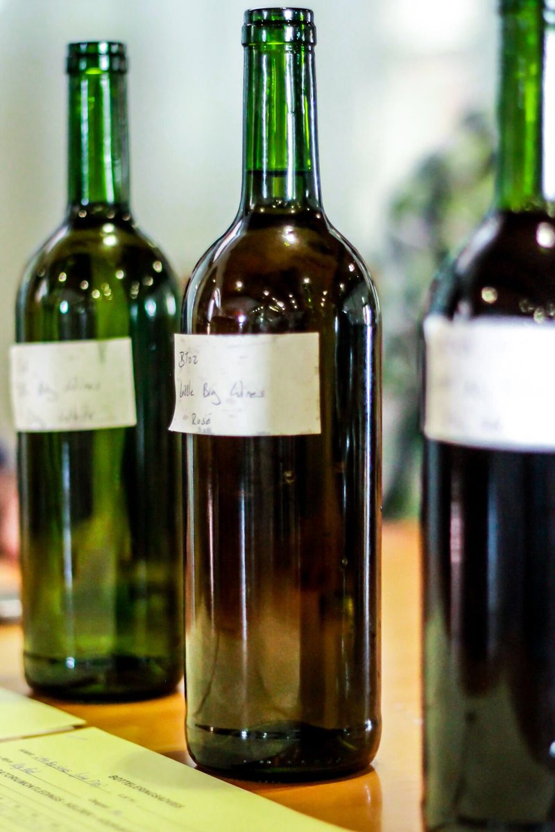 LittleBigWines's tweet photo. We've created the perfect blends for our #LittleDryWhite &amp; #LittleBigBlush. We can't wait for you to try them 🍷 https://t.co/J4JkXWvJnC