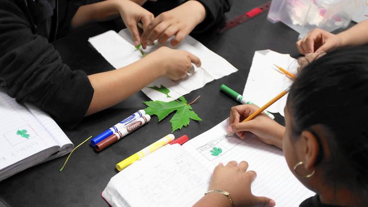 chicagotribune's tweet photo. Why even take standardized tests if you're not going to get scores? 

Yet another sign of Illinois dysfunction: https://t.co/DTn3XVE7UN https://t.co/16qErz9rgv