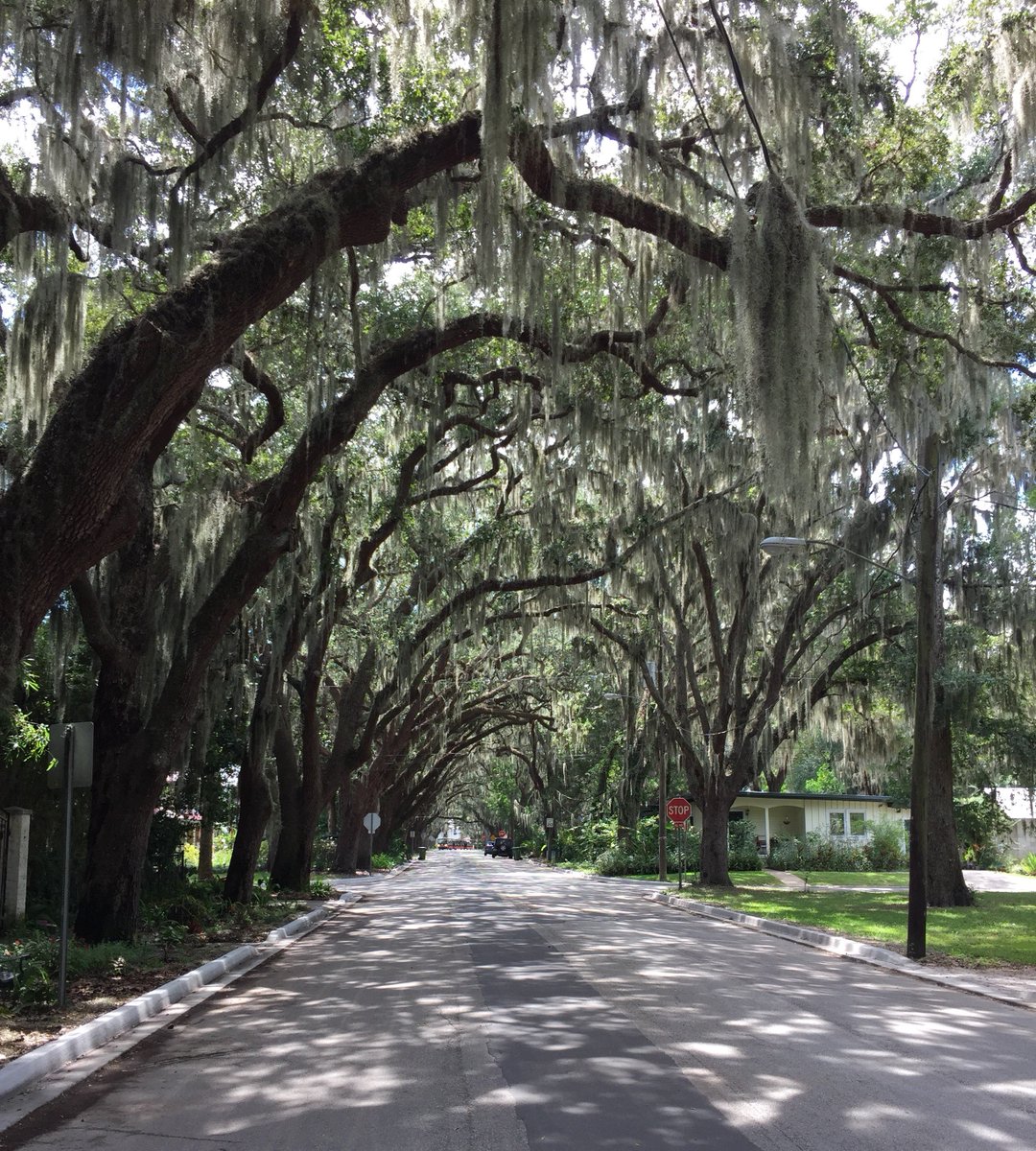 OldCity's tweet image. Happy #WorldEnvironmentDay! Today, we encourage you to get out and explore St. Augustine!