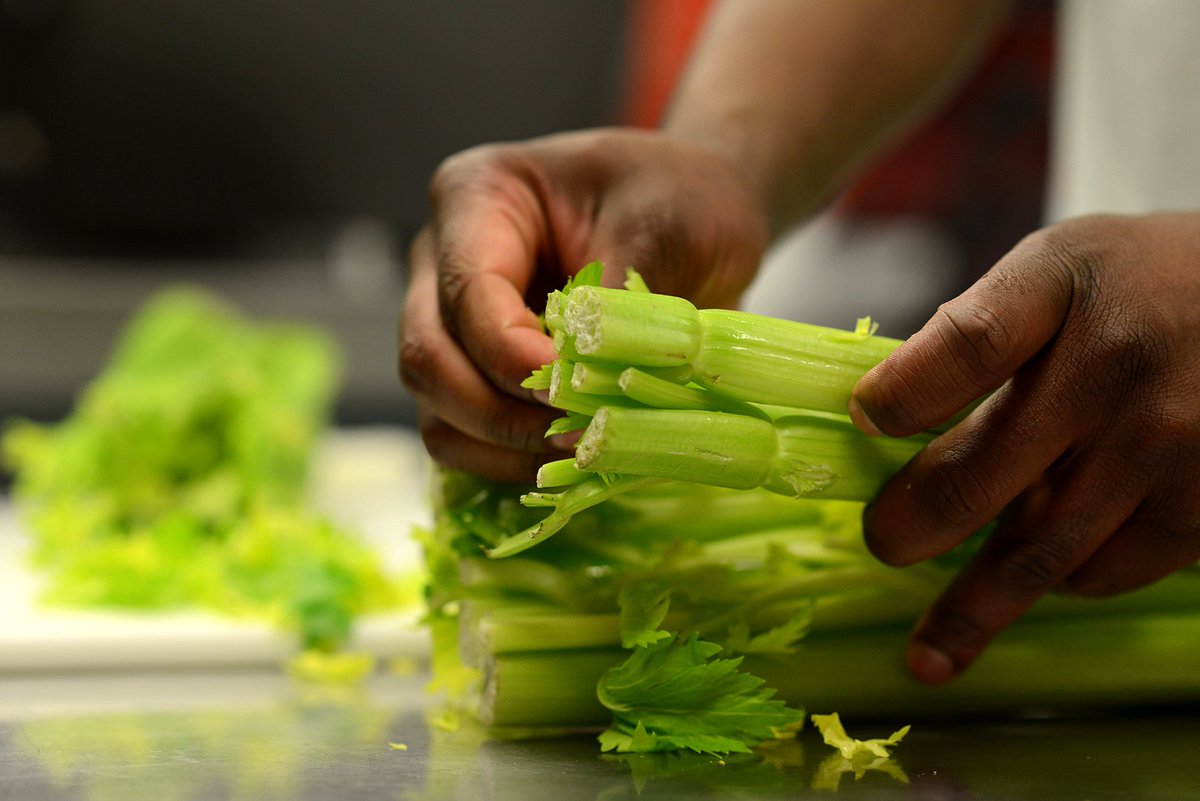 jimmyjohns's tweet photo. Housemade tuna salad starts with #JimmyFresh celery.
#EverySingleDayStartsThisWay #WhereFreshAndFastMeet https://t.co/ZfKELgMSBW