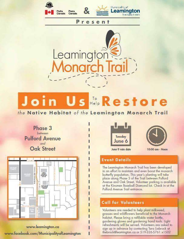 EyesOnWindsor's tweet photo. Love #MonarchButterflies? Help Plant The #Leamington #MonarchTrail June 6 @TweetLeamington #YQG #CBCeyes https://t.co/OfnjwgU8ks
