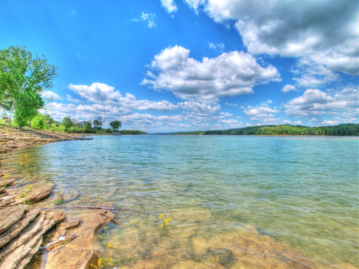 KnoxTnHomes's tweet photo. #Lot242LeilasWay #188FeetOfShoreline #Dockable #SunsetBay #NorrisLake #FergusonRealtors #CommunityVideo @ https://t.co/MrwZFn4Uvx #NewList https://t.co/uxhXAQMmeI