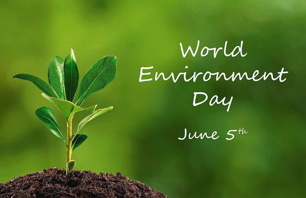 HolidayInnAUH's tweet photo. Happy #WorldEnvironmentDay from Holiday Inn Abu Dhabi

#Holidayinn #lifeatIHG #inabudhabi https://t.co/K5eztp7Mh1