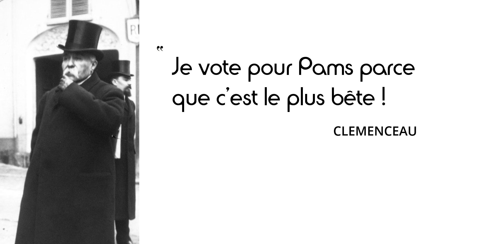 Petite Histoire Du Vote En Citations Twitter