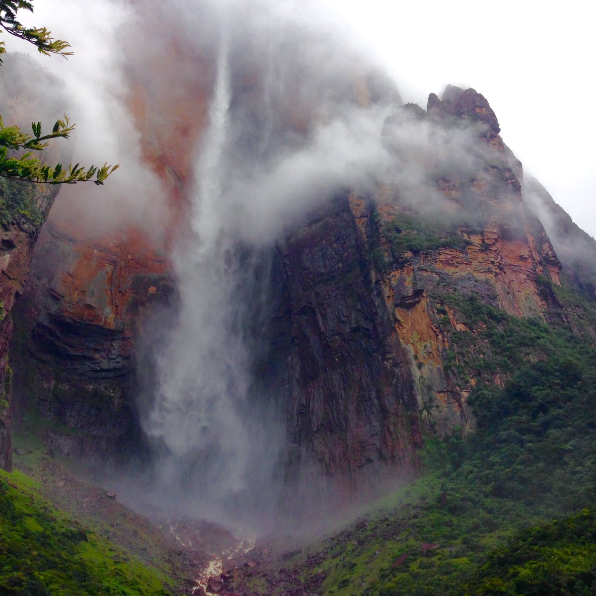 EcoClick Venezuela tweet media