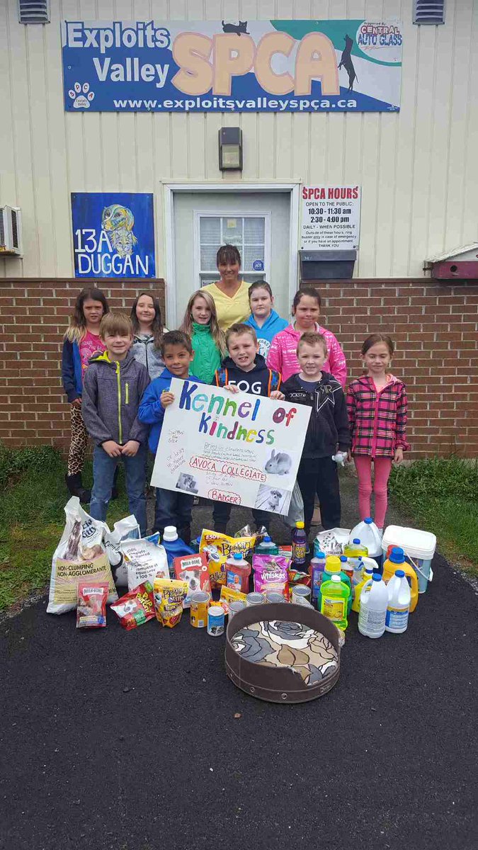 Avoca Collegiate tweet media