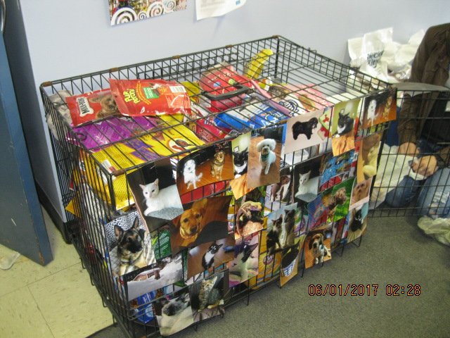 Avoca Collegiate tweet media