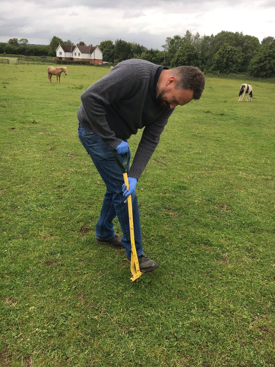 britpestcontrol's tweet photo. Today we have volunteered @Blue_Cross_Roll with some surveying, proofing and yard chores (led by @Deetheratkiller) #worldpestday #pestaware https://t.co/7GTcvkjdpC