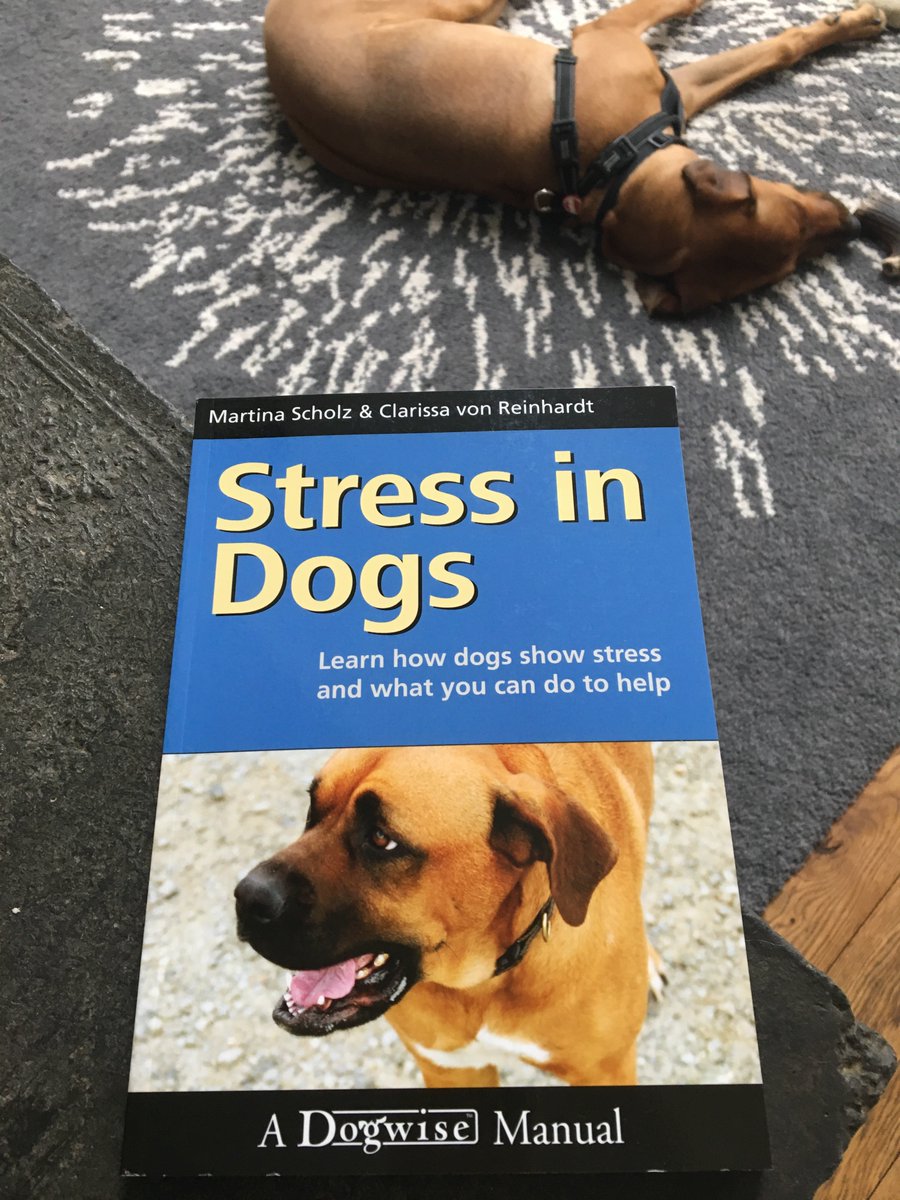 doggietrainer1's tweet photo. New book arrived, dogs asleep and not stressed, coffee in hand, here I go #dogwise #dogsoftwitter #doghealth #MondayMotivaton #dogbehaviour https://t.co/0yDJT6X4mz