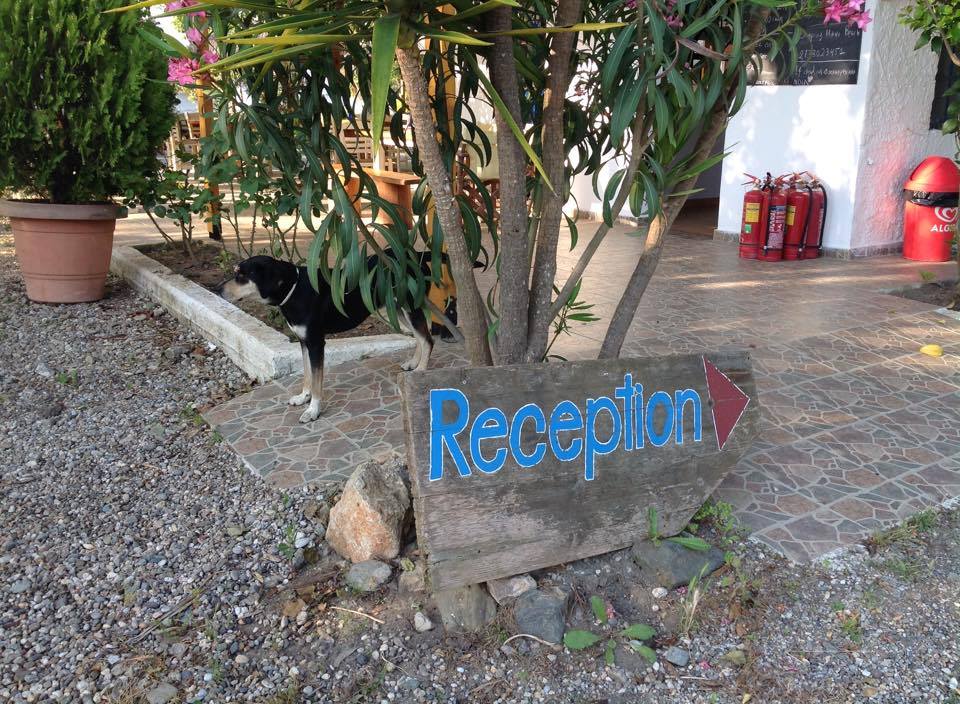 Camping Mani Beach tweet media