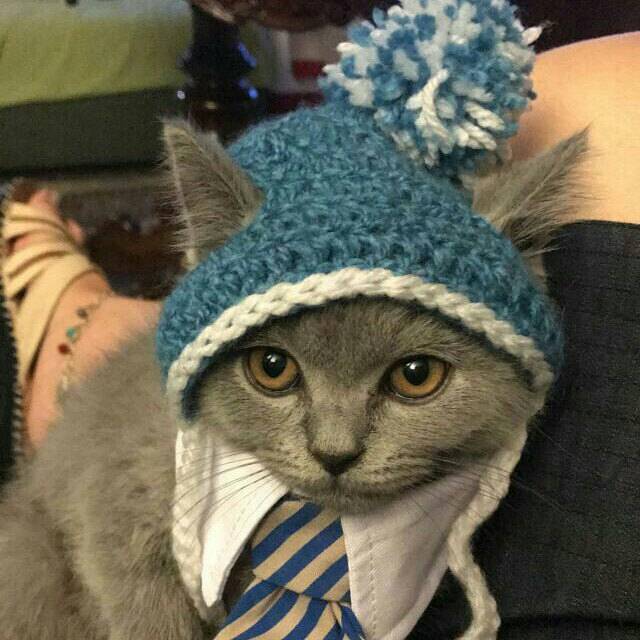 PawsomeCrochet's tweet photo. Every day is an awesome day when your customers are pet owners and they send you adorable photos like this! https://t.co/AHsjFab0gJ