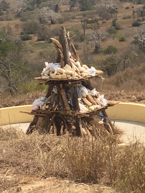 StopIvory's tweet photo. Angola's lights a fire and demonstrate its commitments by torching the country's main ivory stockpile of 1.25 tonnes. #WorldEnvironmentDay https://t.co/7OVy2KaB25