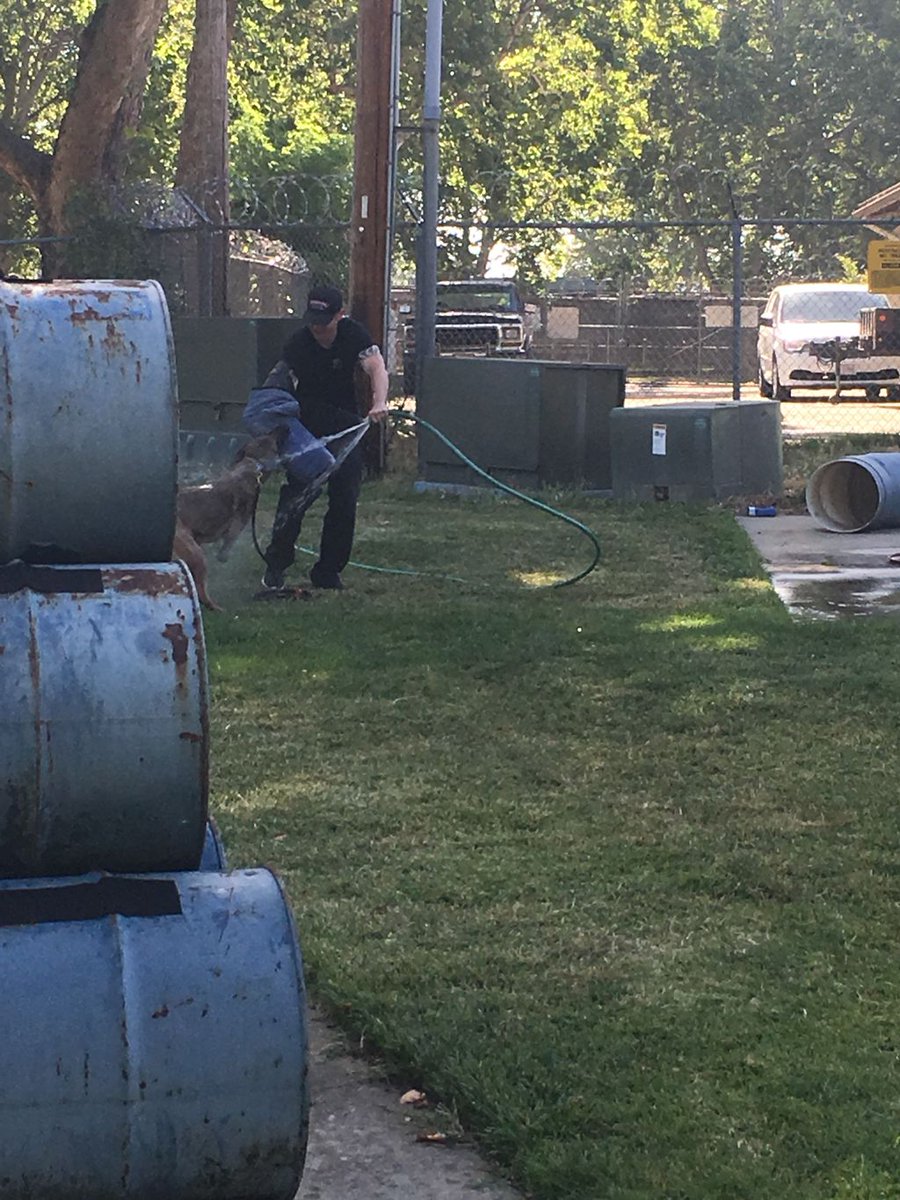 LodiPD_K9's tweet photo. Some good summertime training. Reminded of this by our friends @modestopdK9. https://t.co/0sikKrKZVc