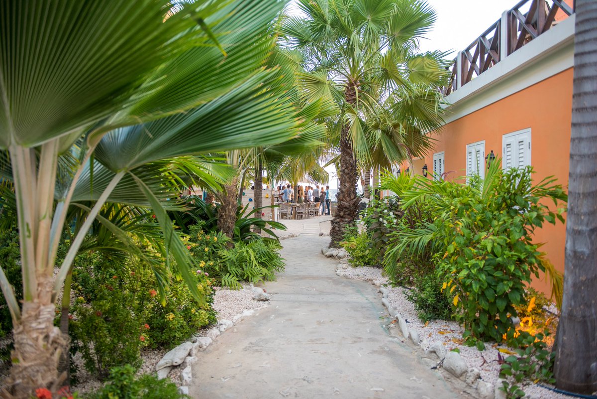 Wij staan in de Top 3 best beoordeelde hotels op Curaçao! naarcuracao.com/top3hotels <a href="/NaarCuracaoCom/">NaarCuracao.Com</a> @TripAdvisor #curacao #vakantie #hotel