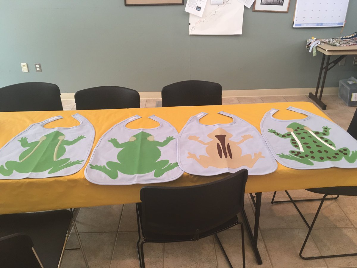 echoi_01's tweet photo. First few ID capes are done!  The strange stares while designing these at Starbucks were totally worth it 😍 #howdoyouteach #frogID #HERper https://t.co/RNpwrRPqxB