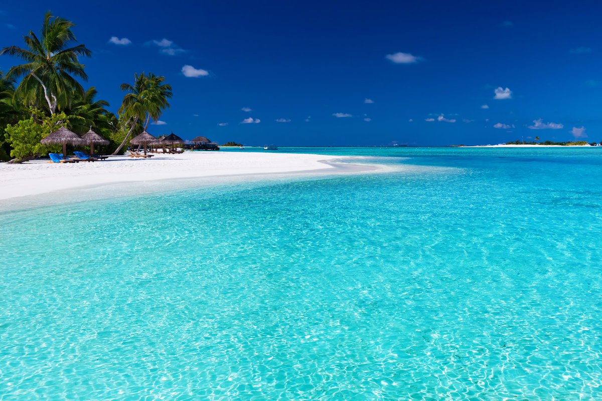VacationExpress's tweet photo. RT if you'd rather spend your Monday here! #mondaymotivation #flymeVE https://t.co/DX0c9LyztD