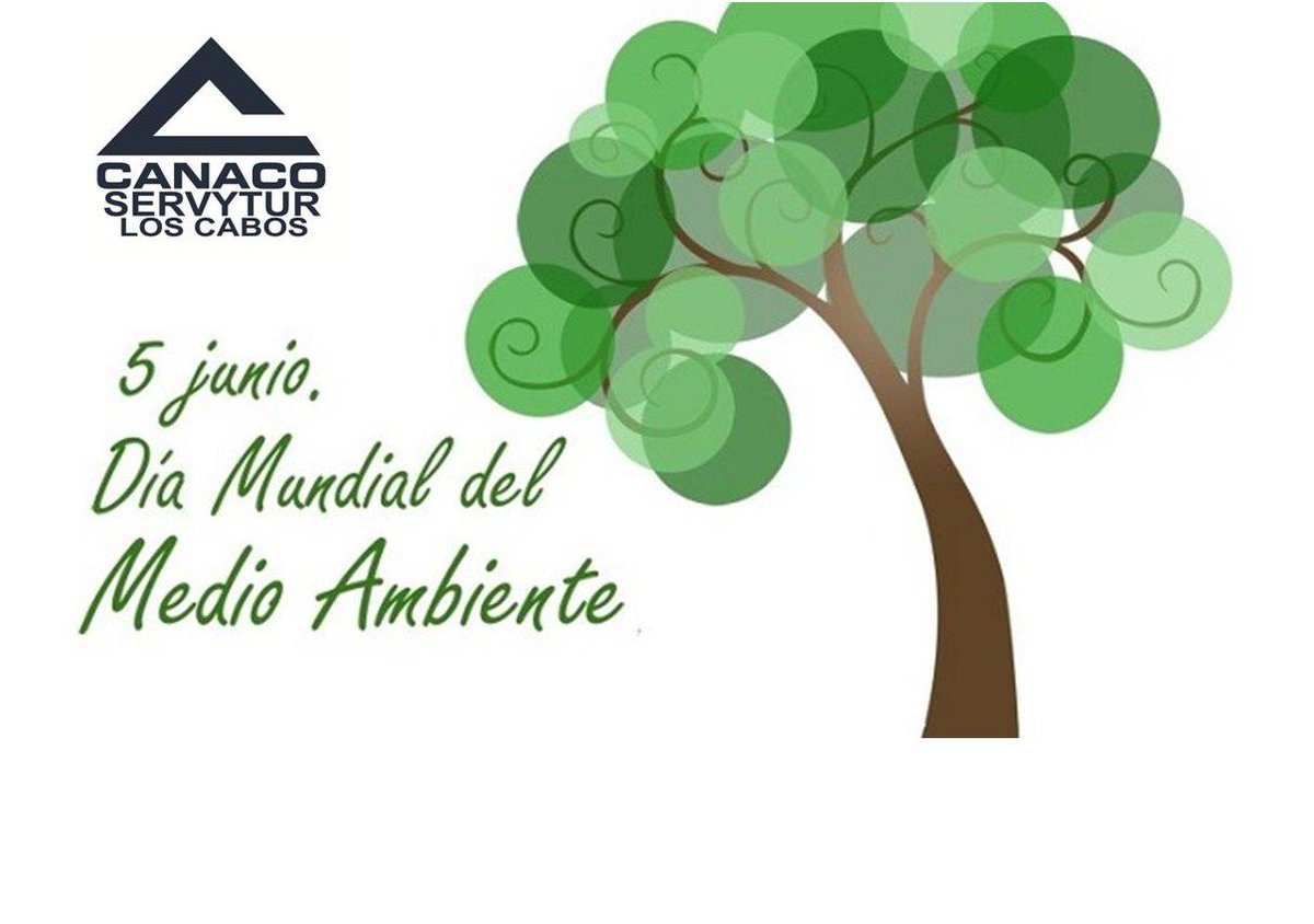 CANACO Los Cabos tweet media