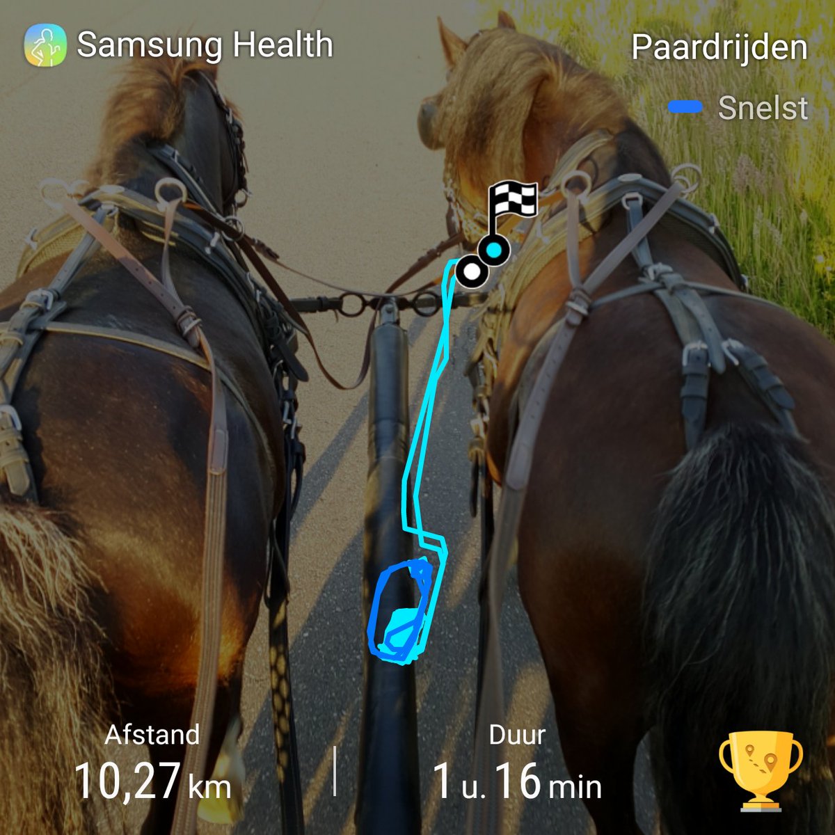 MargreetGroenen's tweet photo. ✔check, training has finished! #welshpony #pony #mennen https://t.co/kKMm2vW79O