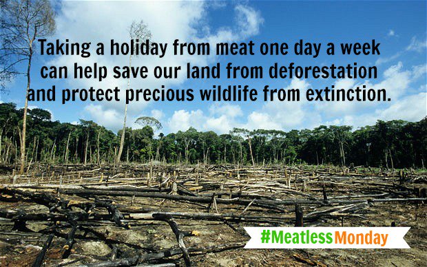 SustainableGW's tweet photo. Happy #WorldEnvironmentDay everyone! You can celebrate by participating in #MeatlessMonday today and every Monday. #GoGreen https://t.co/HSSXGZXOoc