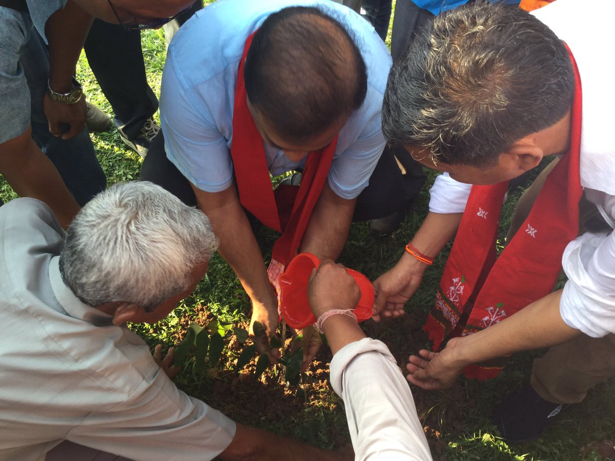 himantabiswa's tweet photo. On sidelines of election campaigns at Karbi Anglong, I took time out to plant a sapling on #WorldEnvironmentDay. #GoGreen #AssamEnvironment https://t.co/32RKeKNdvl