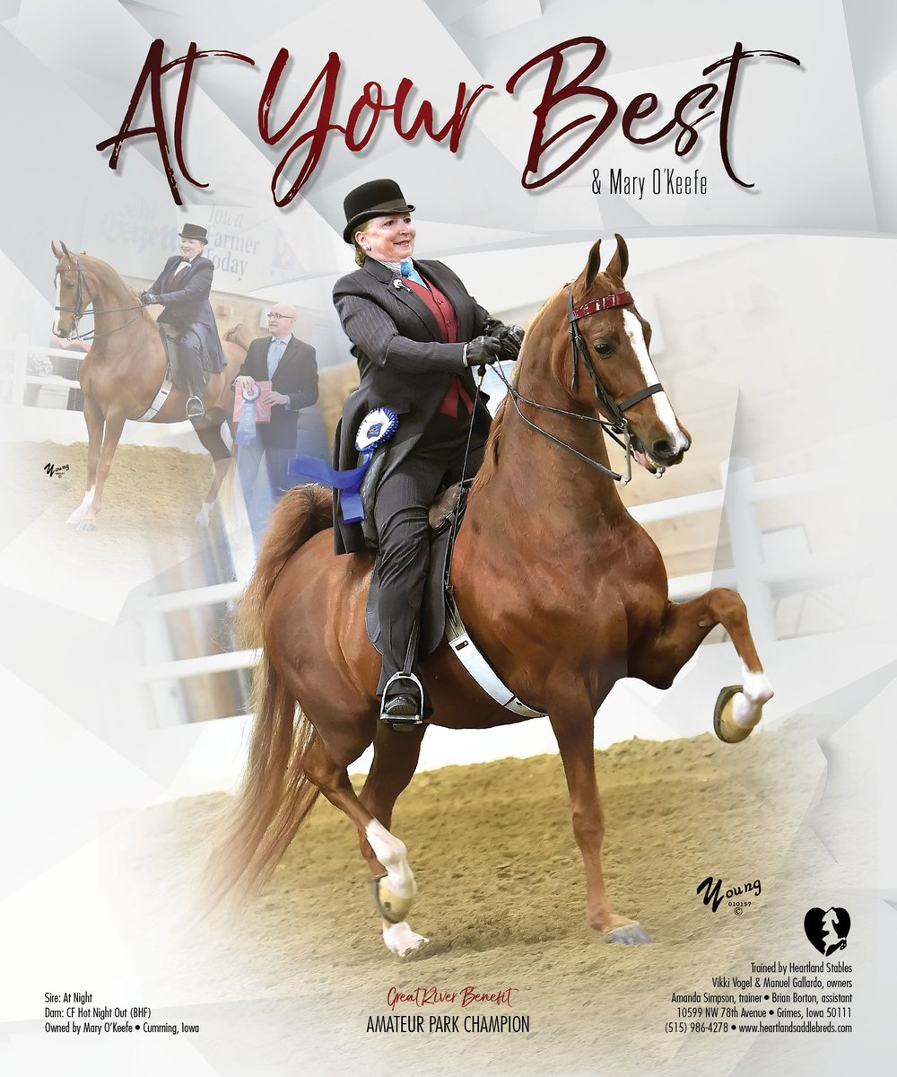 Heartlandstables Hashtag On Twitter