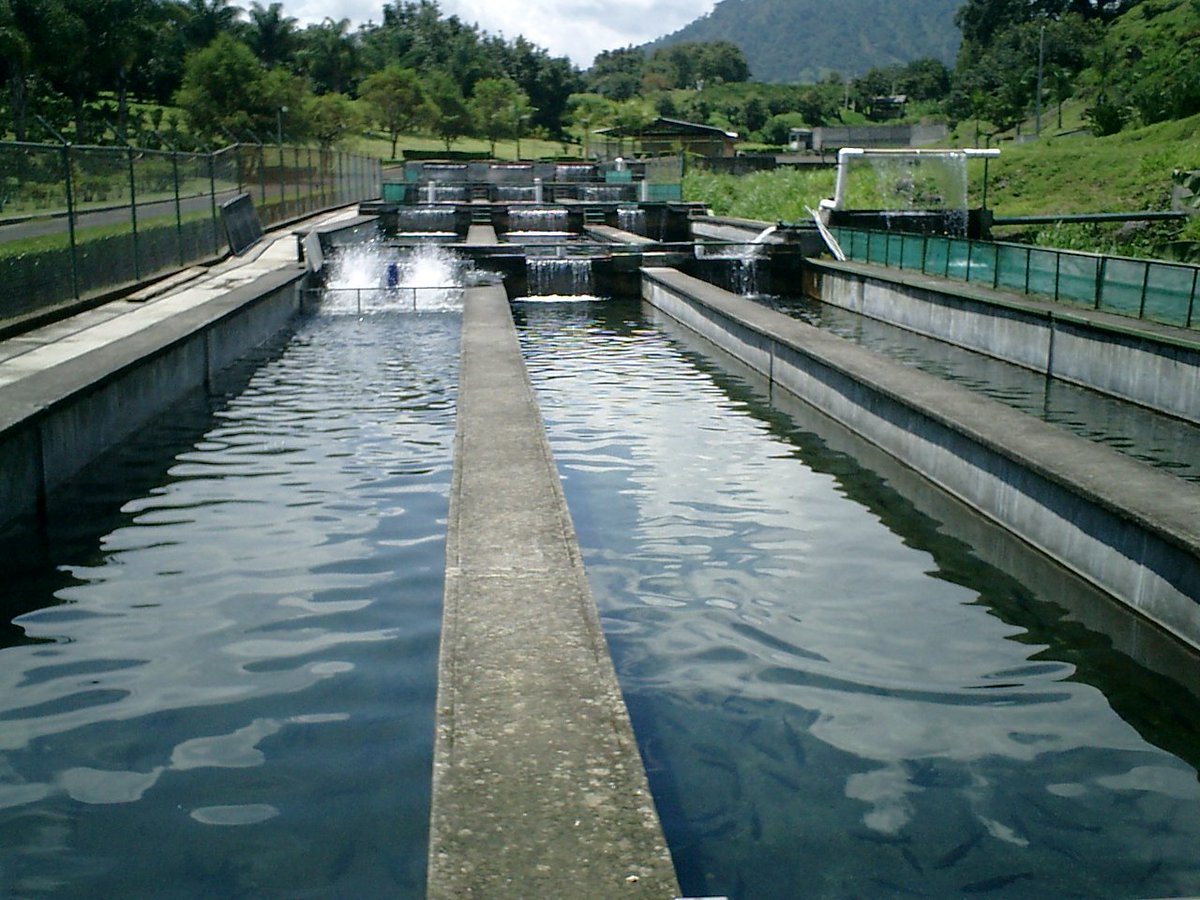 Mely_Romero's tweet photo. La @SAGARPA_mx apoya a comunidades rurales con infraestructura para cuidar el medio ambiente aprovechando sustentablemente el suelo y agua https://t.co/O05pXx9WPk