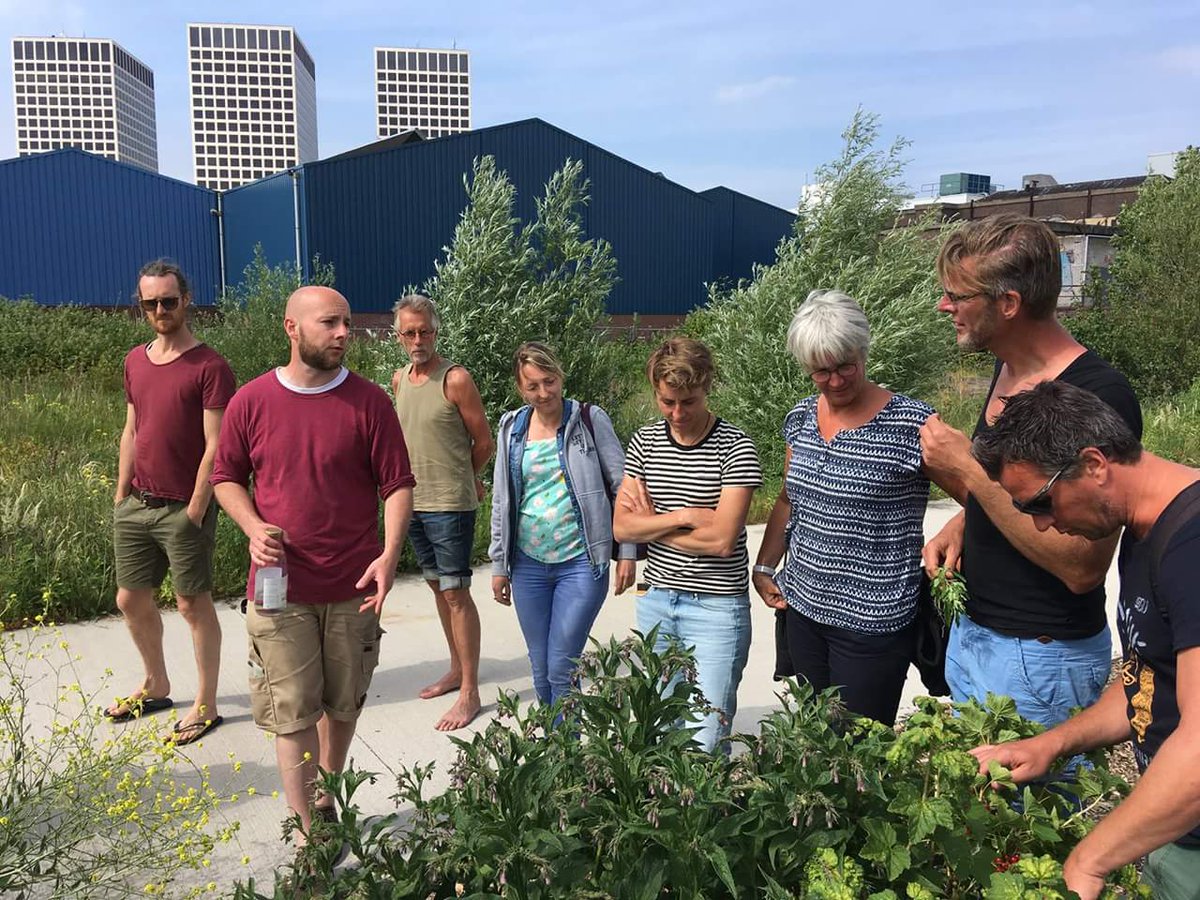 d_akkers's tweet photo. Met alle dakboeren op bezoek bij de prachtige @Voedseltuinrdam, ook voor de cursus #permacultuur van #MaxDeMoestuinman ... https://t.co/TQXtM60TyT