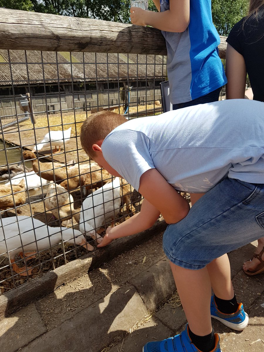 LeeAPro's tweet photo. @MrTTurner1 Tomos has had a great half term cleaned his room and then had loads of fun camping with family https://t.co/rSTiHwjii8