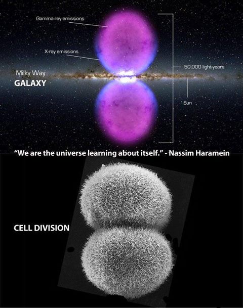 DrJoeDispenza's tweet photo. "As above so below - as within so without" https://t.co/UQ1qJxPNyq