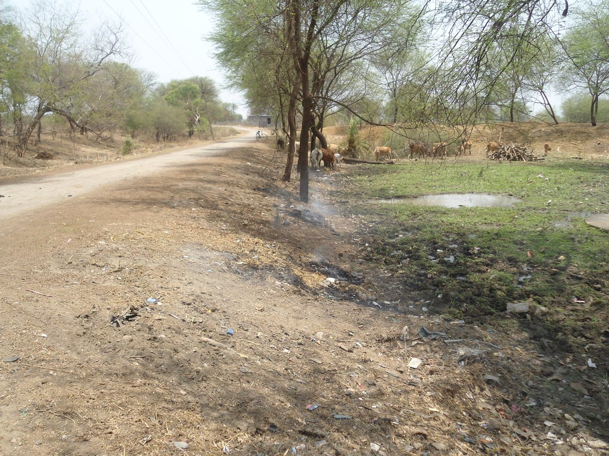 KshitijB15's tweet photo. RF in support of Village Alikhuta, Rjn celebrated WED with making th filthy place of village a pleasing sight @CGAbhishekSingh https://t.co/3j39emT4Dy