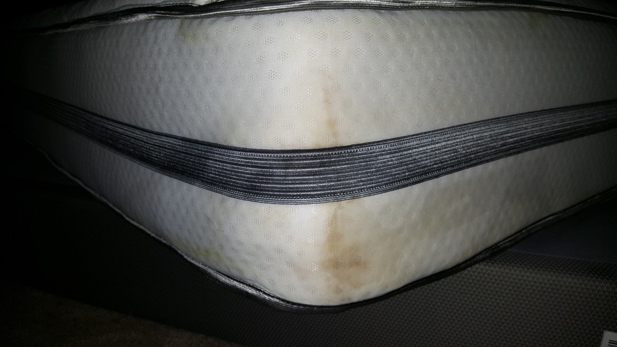 car_stein's tweet photo. How about this disgusting, putrid, mildew-soaked mattress? @MattressFirm https://t.co/wZDPdCMd0x