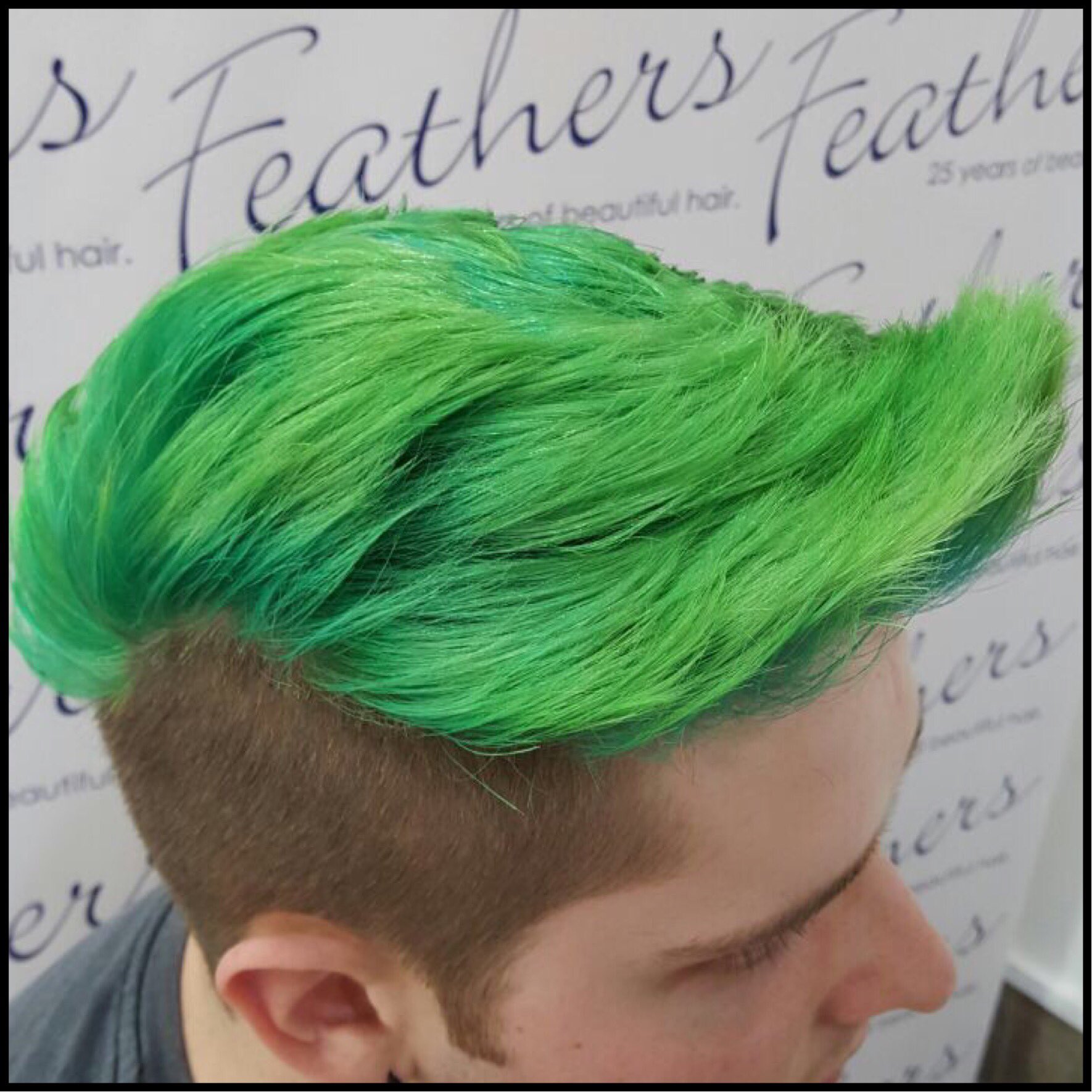 Feathers on Twitter: Feathers on Twitter: